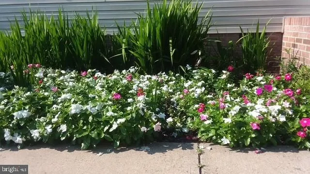 a bunch of flowers in front of yellow
