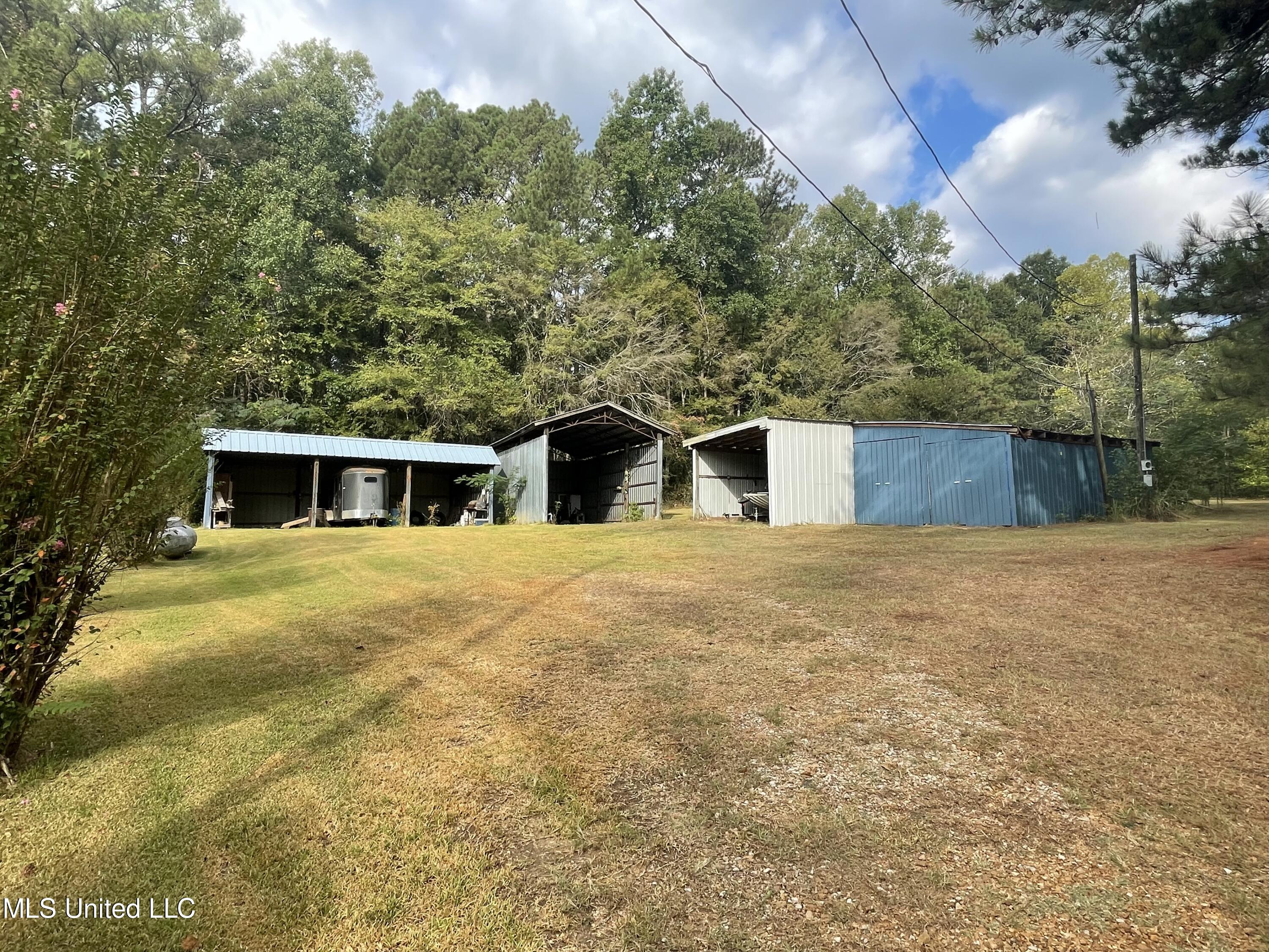 4233 Gunter Road Walnut Grove, MS 39189 - Photo 5 of 23 IMG_3746