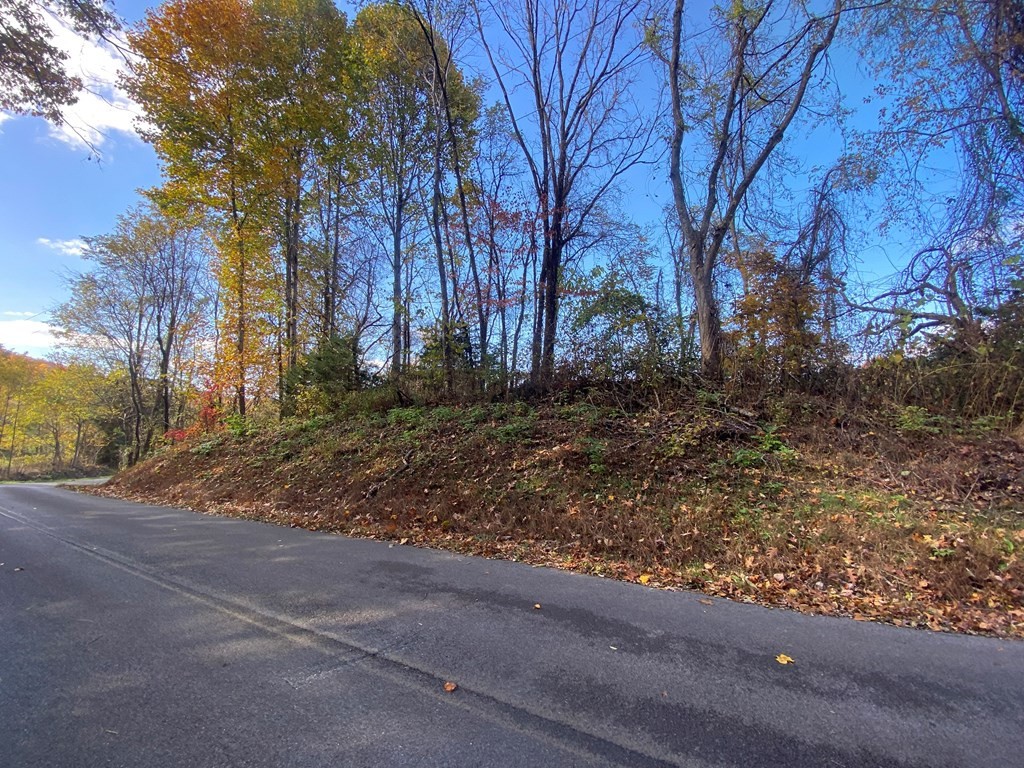 34 Thomas Cross Road Sevierville, TN 37876 - Photo 3 of 6