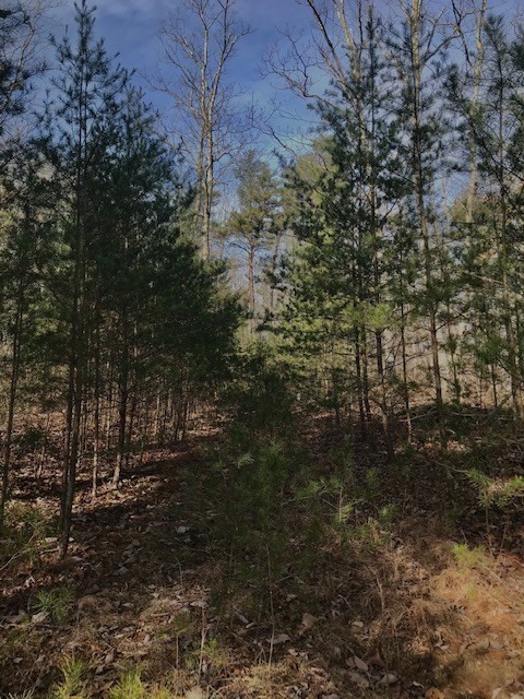 0 Mud Road Graysville, TN 37338 - Photo 2 of 19 Gallery Image 2