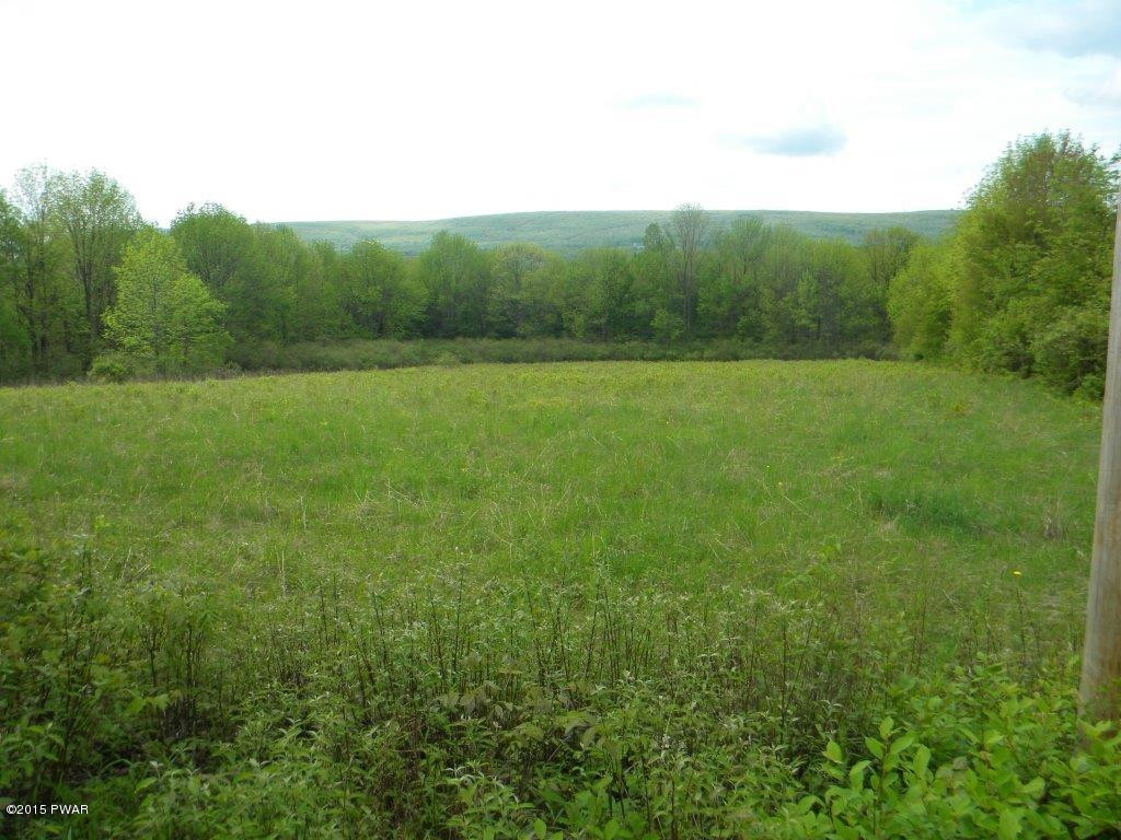 Silkman's Rd Lake Lake Ariel, PA 18436 - Photo 6 of 15