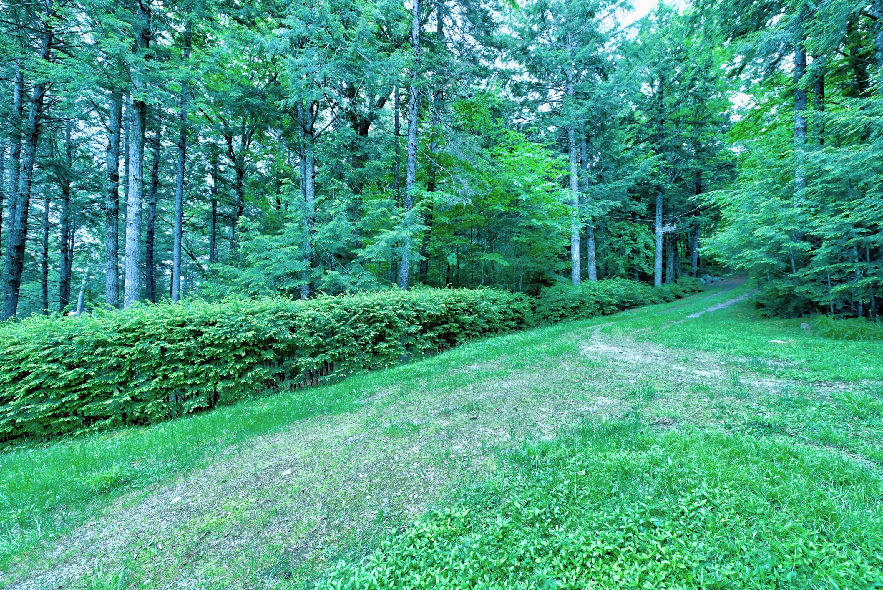 428 Lombard Road Lakeville, ME 04487 - Photo 22 of 35 DSC_2435_6_7_8_9_Interior 4