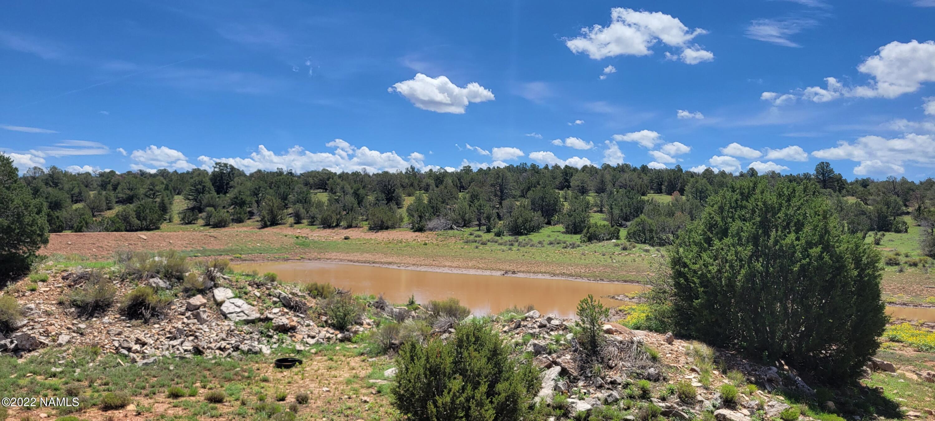 8298 West Red Bluff Road Williams, AZ 86046 - Photo 5 of 23 20220806_113411