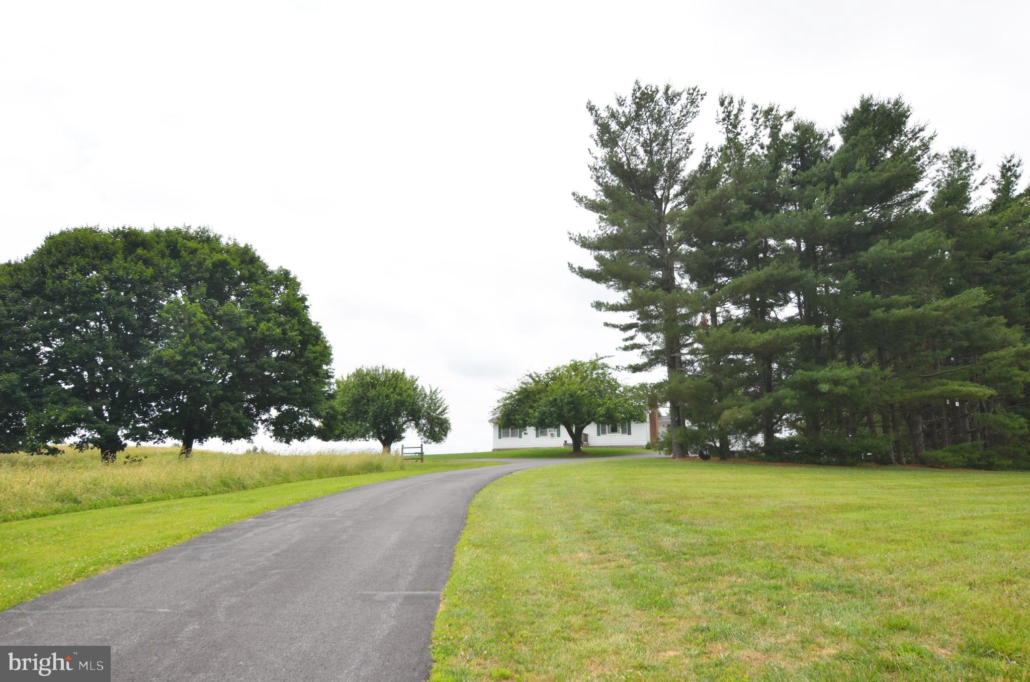 13835 (parcel 290) Howard Road Dayton, MD 21036 - Photo 4 of 11 Paved driveway