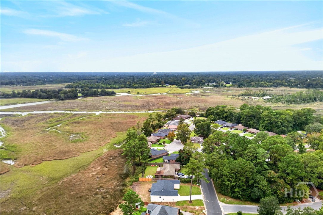 209 Runaway Point Road Savannah, GA 31404 - Photo 53 of 57 Gallery Image 53