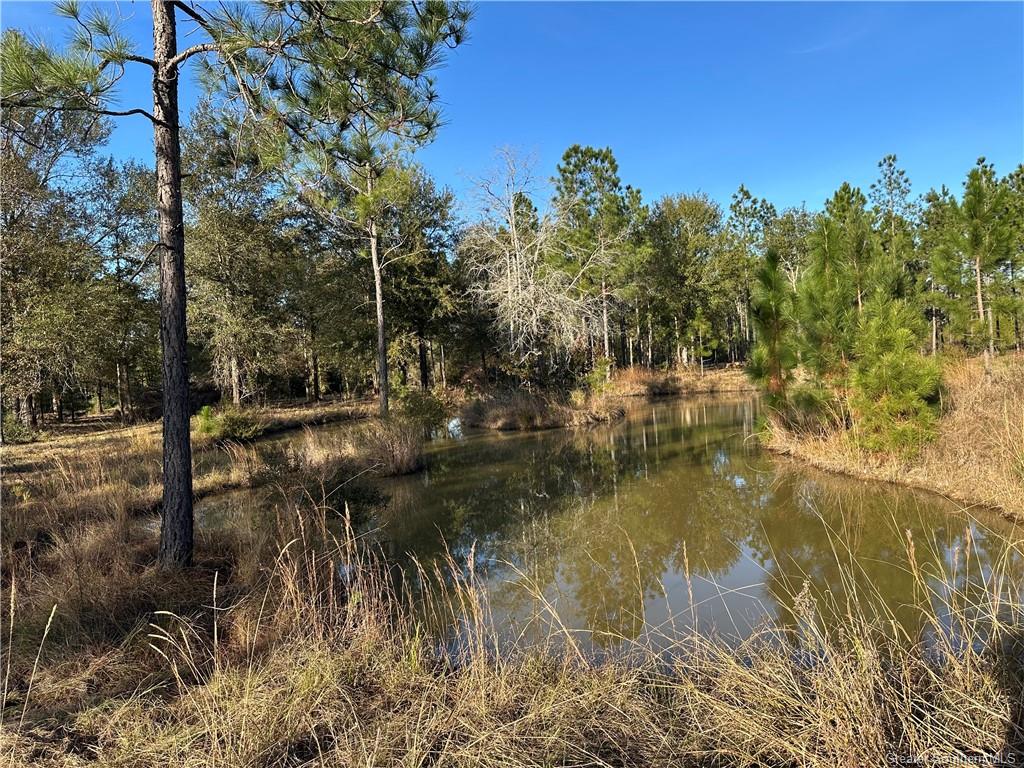 3 Conway Rosteet Road Ragley, LA 70657 - Photo 11 of 15
