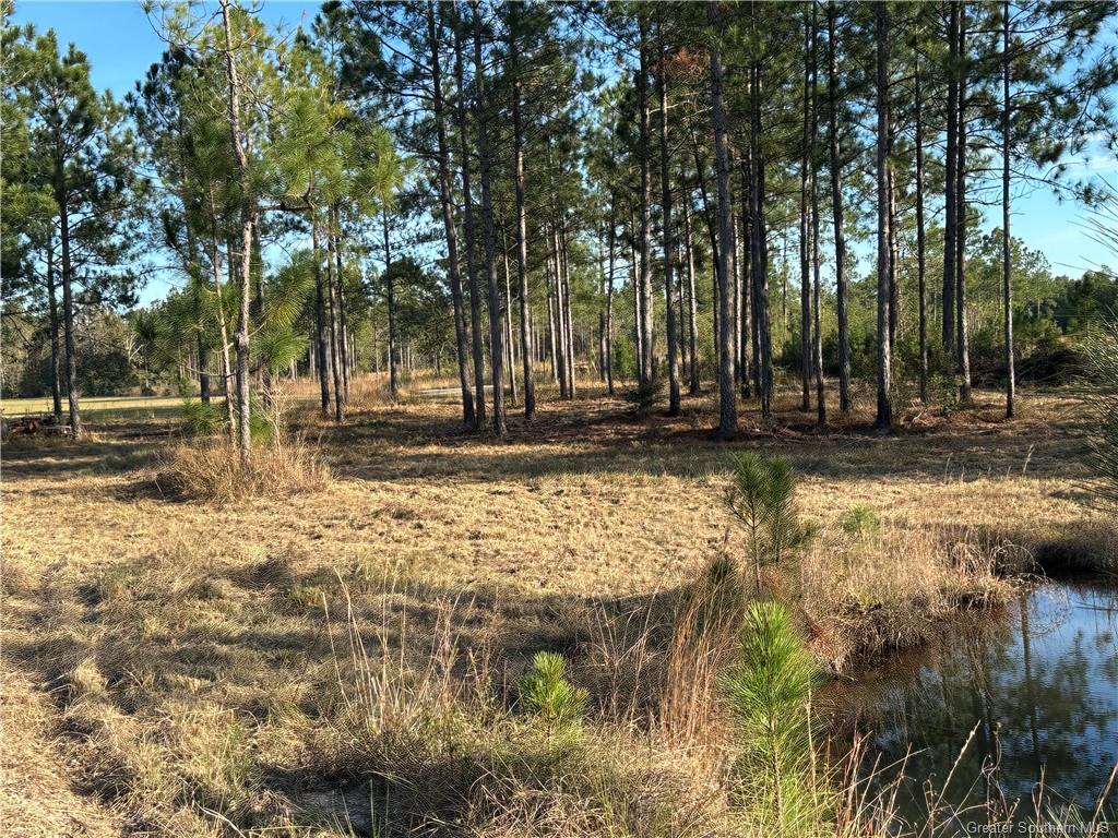 3 Conway Rosteet Road Ragley, LA 70657 - Photo 12 of 15