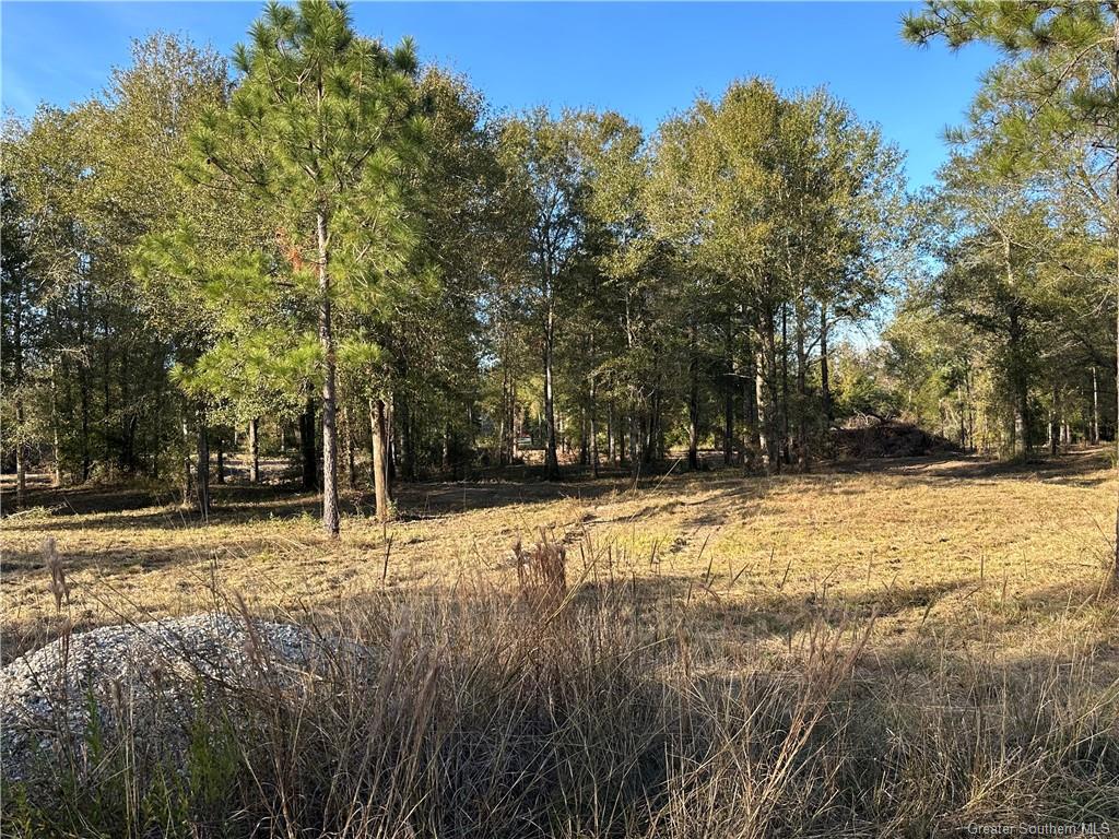 3 Conway Rosteet Road Ragley, LA 70657 - Photo 13 of 15