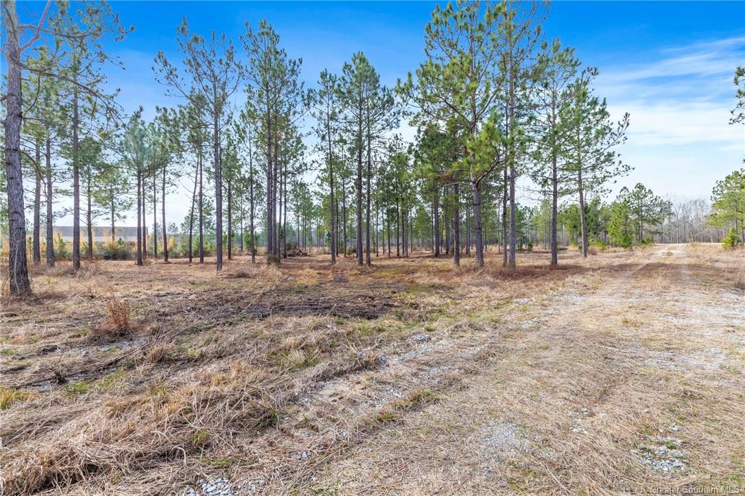 3 Conway Rosteet Road Ragley, LA 70657 - Photo 3 of 15