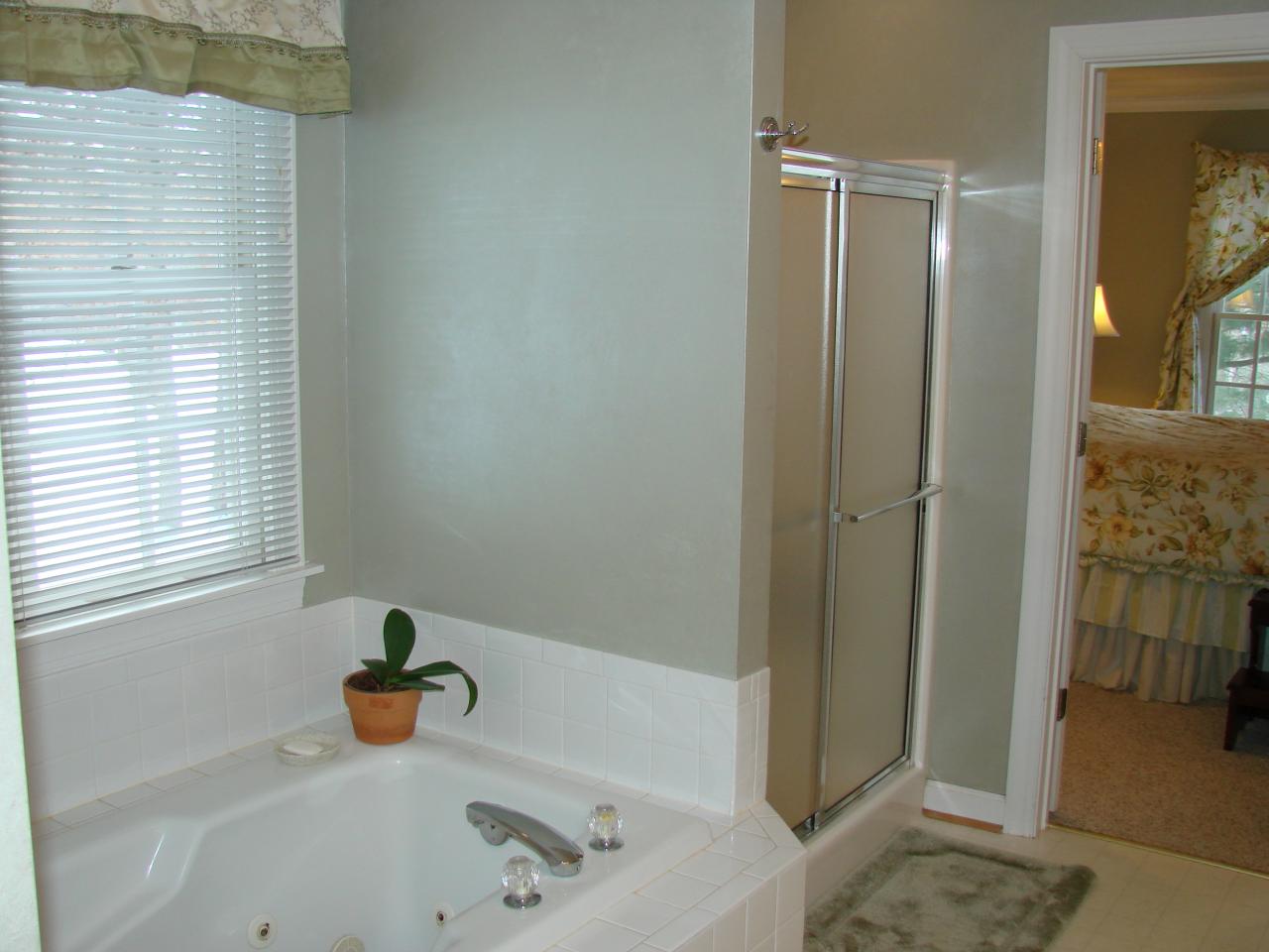 446 Teel Brooke Road Rocky Mount, VA 24151 - Photo 18 of 31 Master Bath(pic2)