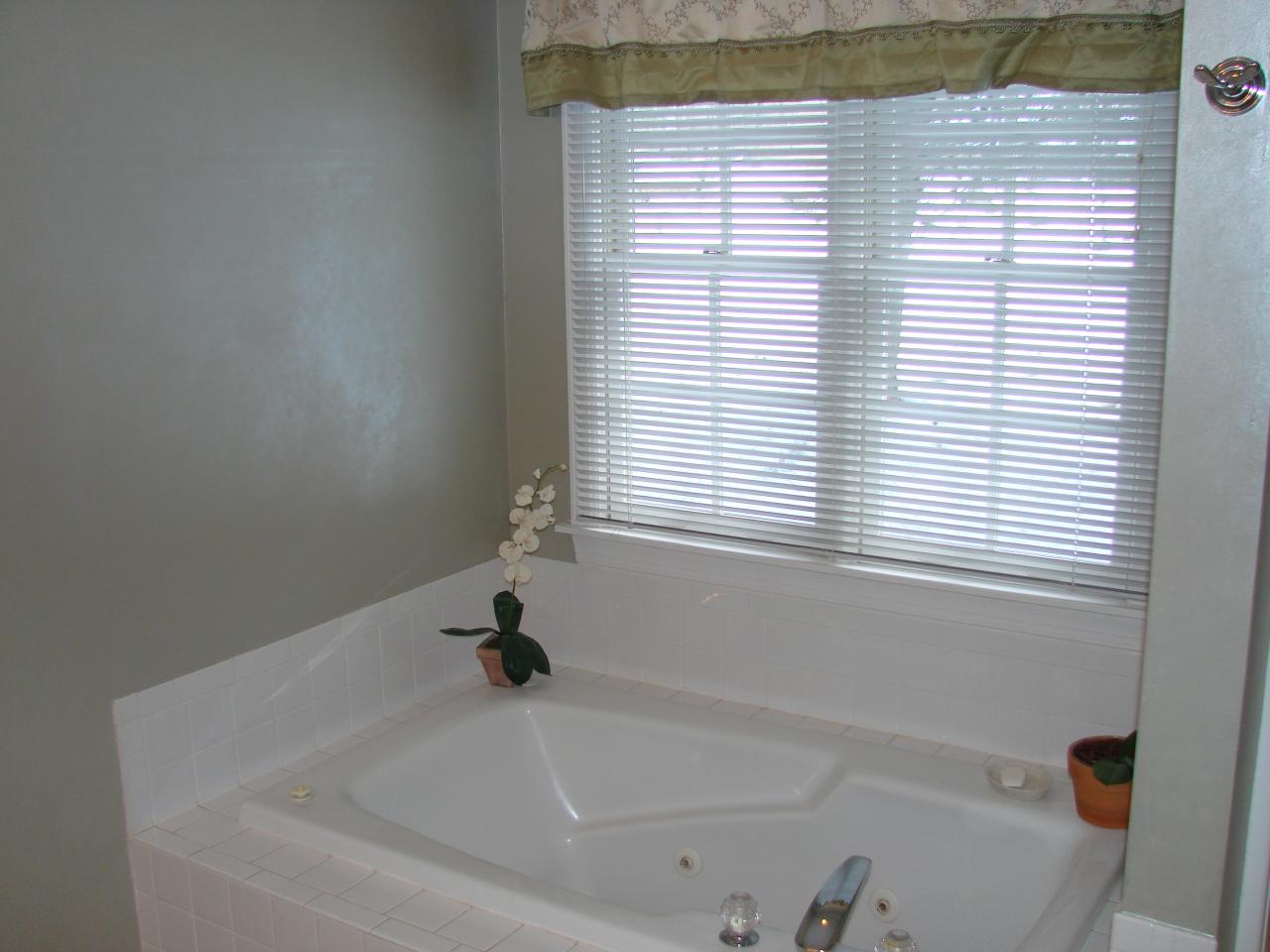 446 Teel Brooke Road Rocky Mount, VA 24151 - Photo 19 of 31 Master Bath(pic3)