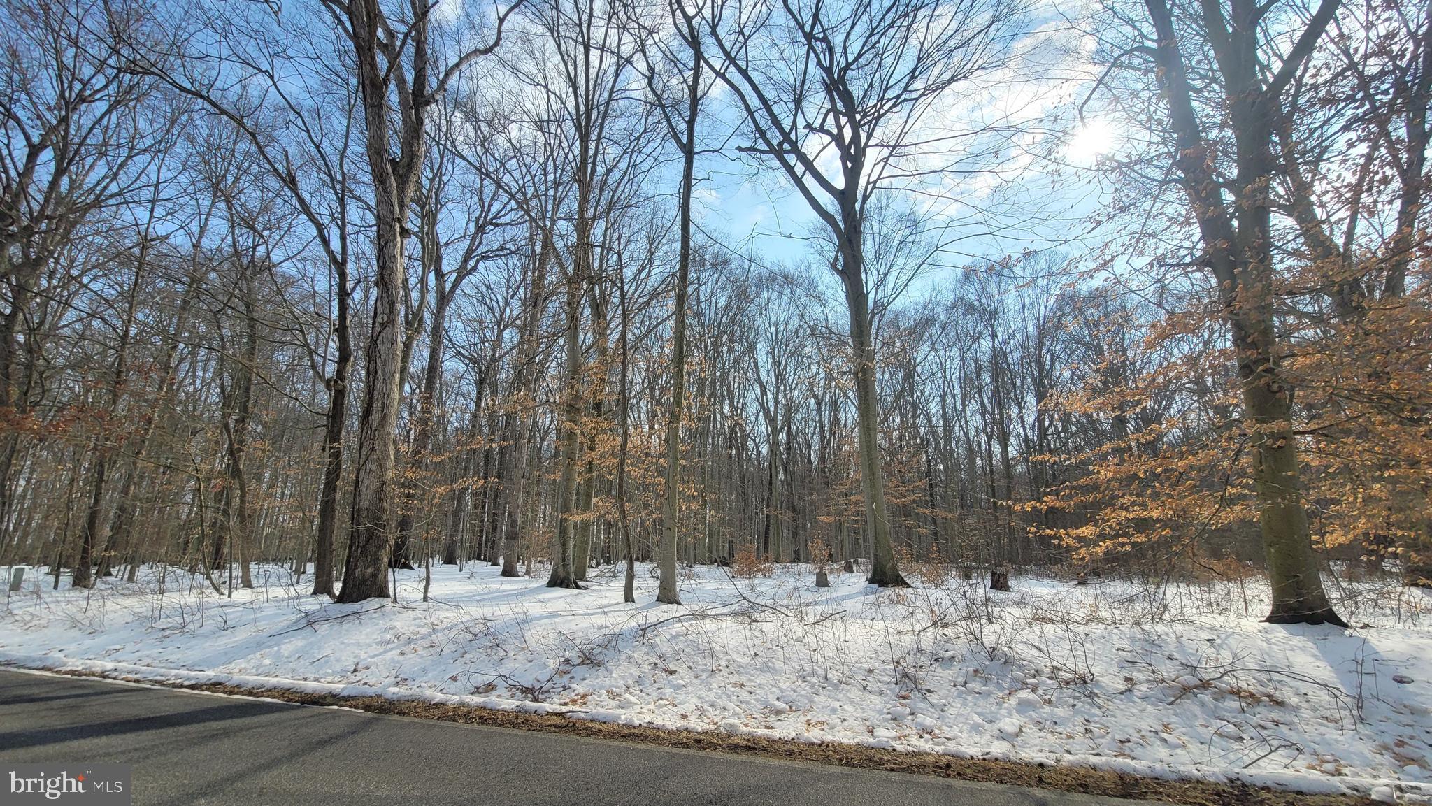 262 White Marsh Road Centreville, MD 21617 - Photo 5 of 6 a view of a backyard of the house