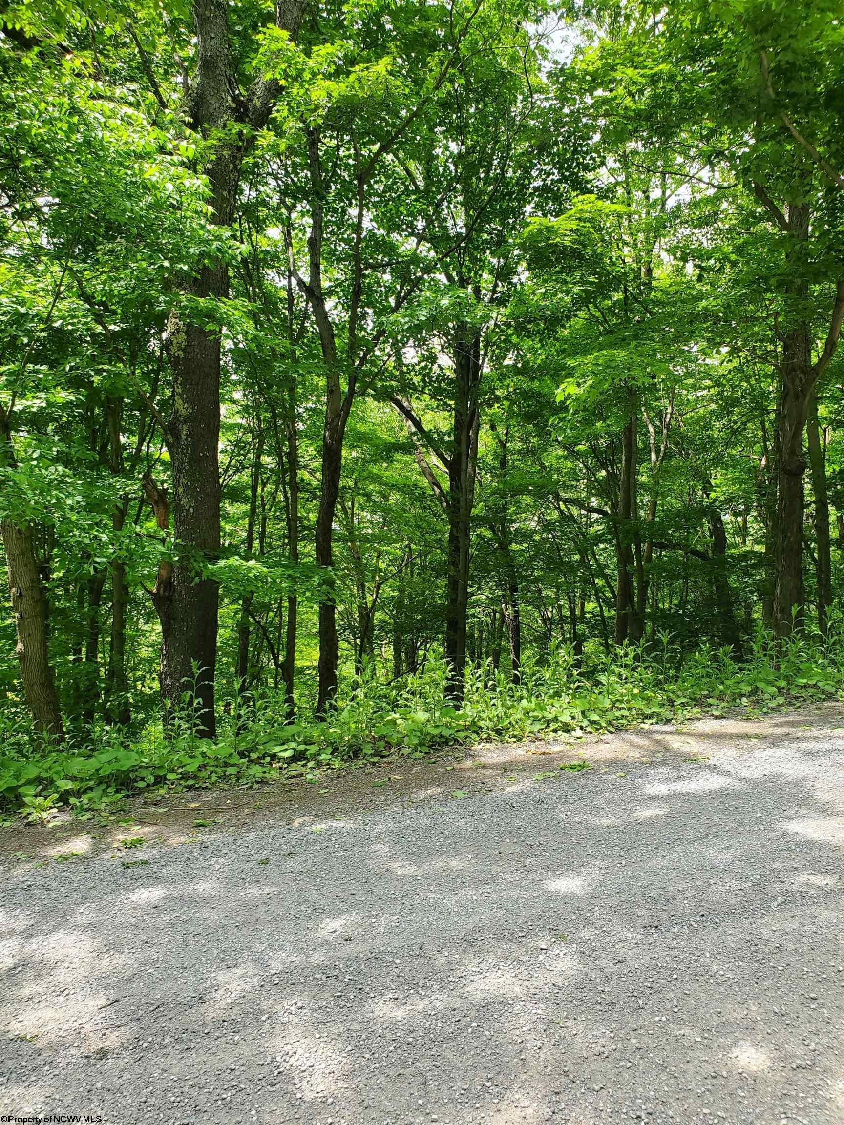 32 Mountainside Road Davis, WV 26260 - Photo 15 of 15 Gallery Image 15