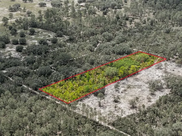 $28,000 | 0 Northeast 56th Street, Bronson, FL 32621