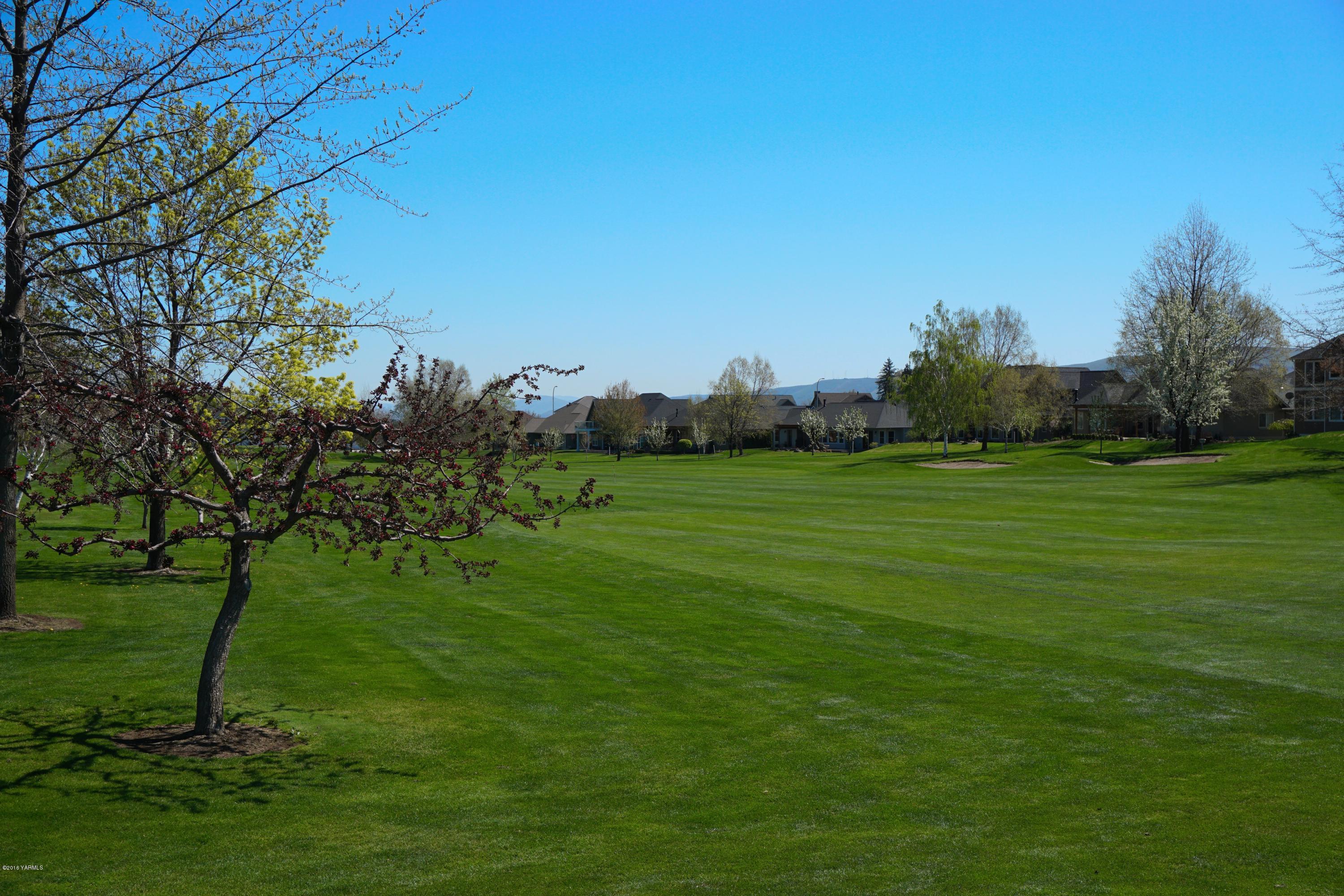 8970 Coolidge Road Yakima, WA 98903 - Photo 50 of 60 a grassy field with a tree in the background