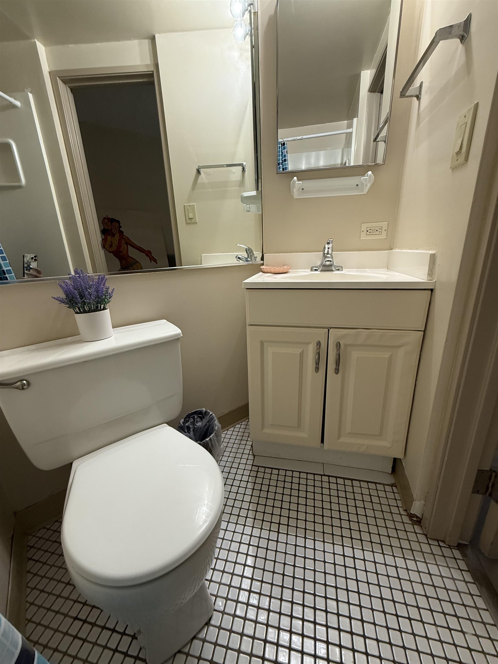 1032 South Kihei Road, Unit A109 Kihei, HI 96753 - Photo 18 of 22