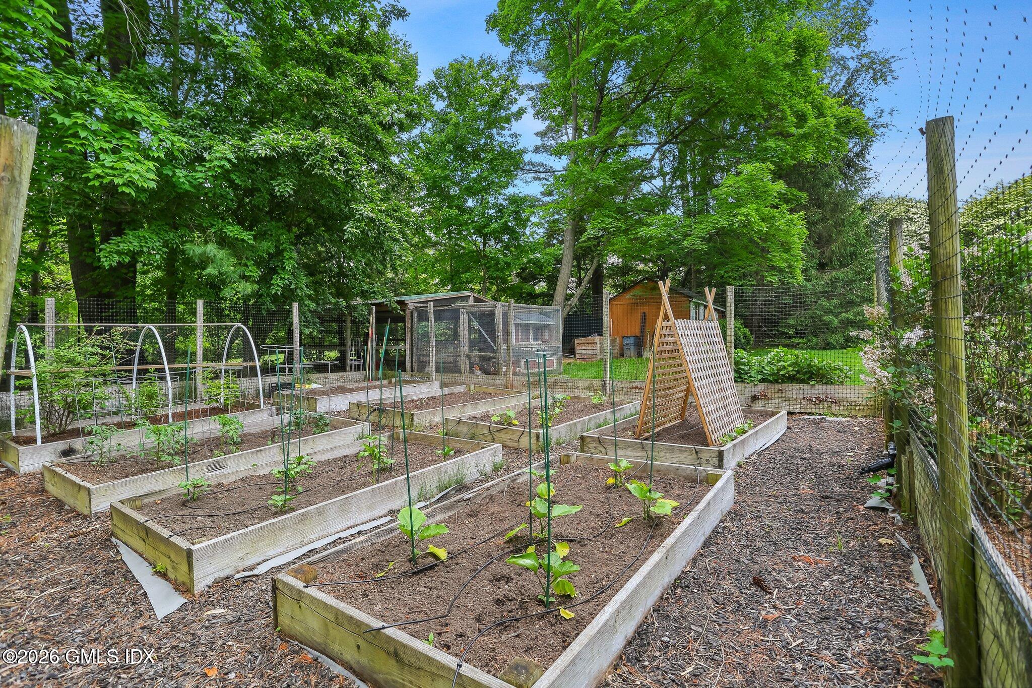 184 Stanwich Road Greenwich, CT 06830 - Photo 44 of 50 43-web-or-mls-184-stanwich-rd