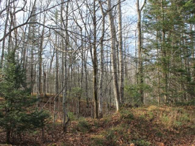 On On Cth G, Unit LT 9 Mercer, WI 54547 - Photo 14 of 15 Gallery Image 14