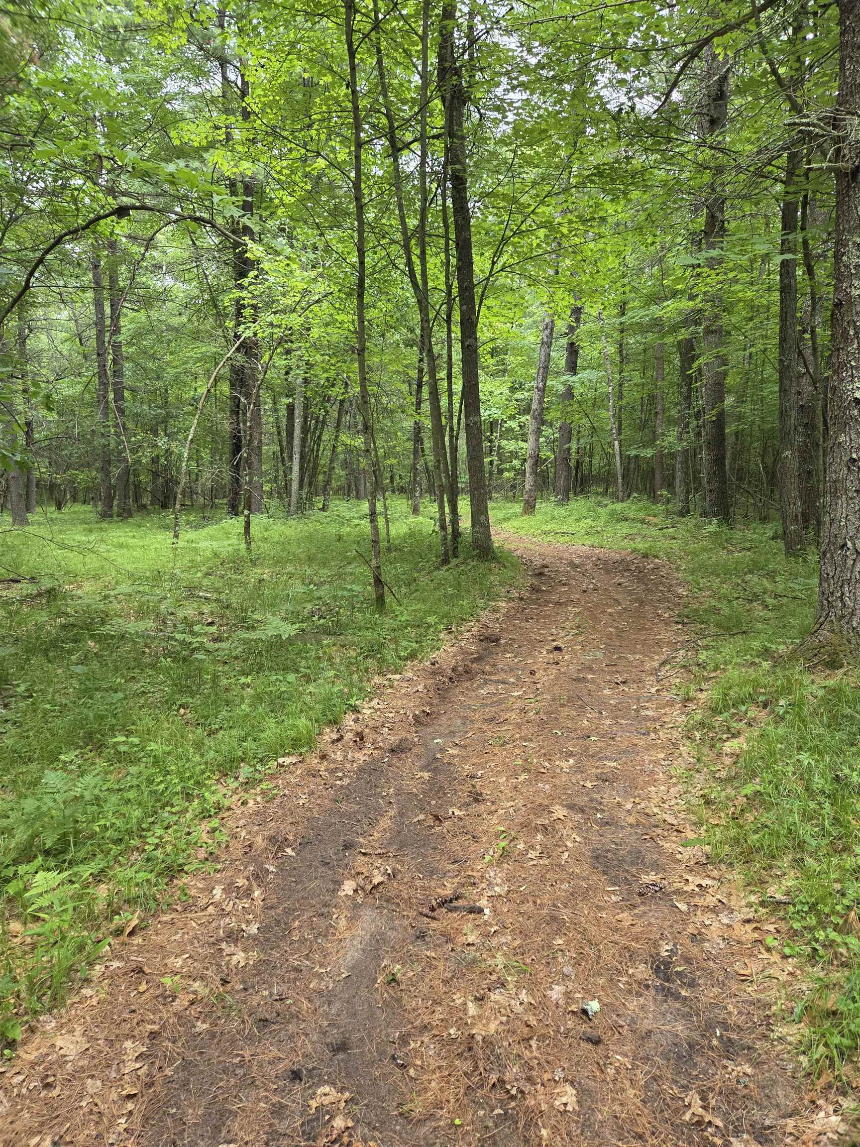 N13300 Pike River Road Wausaukee, WI 54177 - Photo 20 of 39