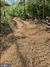 370-382 Kerns Street Inwood, WV 25428 - Photo 10 of 13 Winding path through lush greenery.