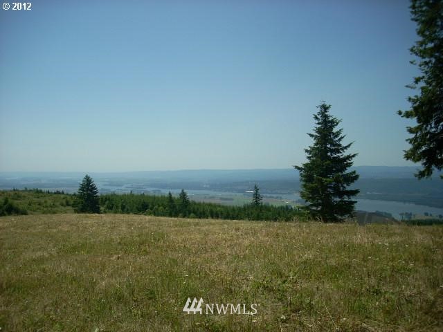 0 Shirley Gordon Road Woodland, WA 98674 - Photo 1 of 4 Gallery Image 1