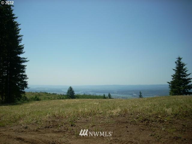 0 Shirley Gordon Road Woodland, WA 98674 - Photo 2 of 4 Gallery Image 2