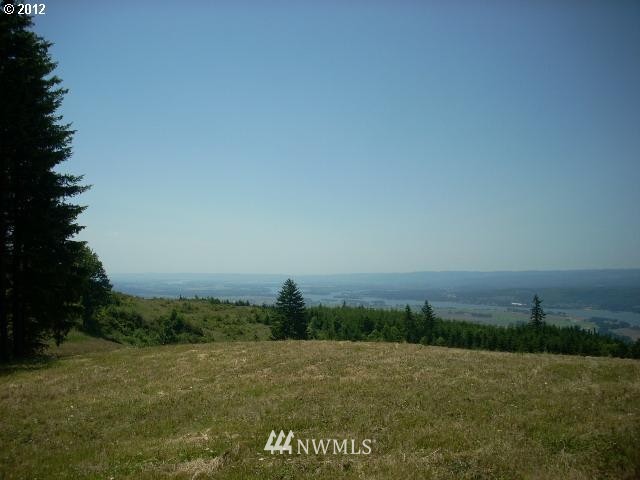 0 Shirley Gordon Road Woodland, WA 98674 - Photo 3 of 4 Gallery Image 3