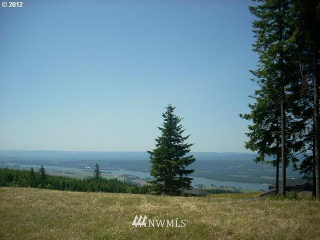 0 Shirley Gordon Road Woodland, WA 98674 - Photo 4 of 4 Gallery Image 4