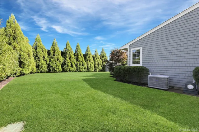 a view of a backyard with plants and a garden