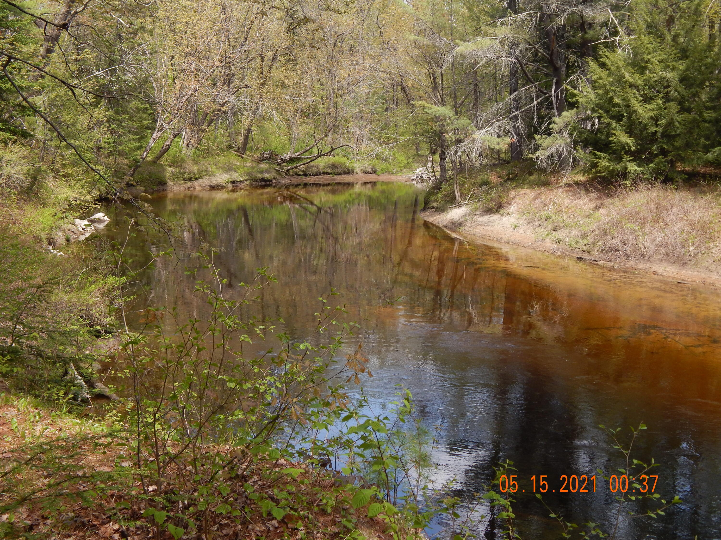 17 Sand Road Naples, ME 04055 - Photo 58 of 66 DSCN0445