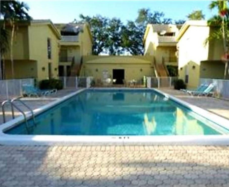 a small pool with lots of trees in the background