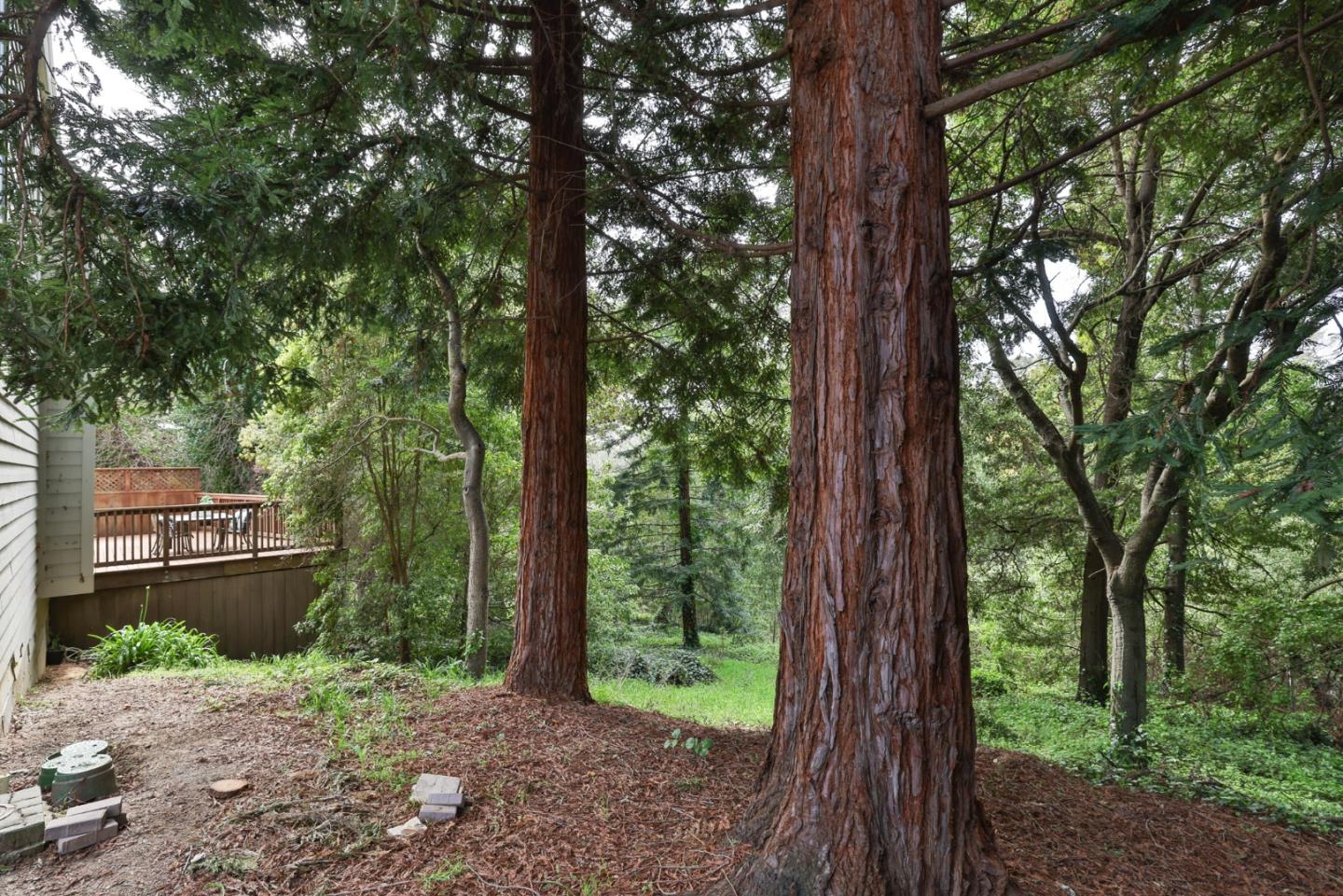 6800 Cypress Garden Aptos, CA 95003 - Photo 21 of 24