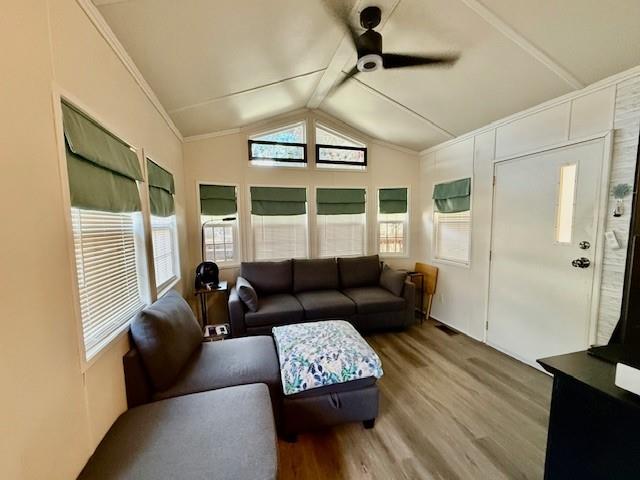 6435 FM 17 Yantis, TX 75497 - Photo 6 of 22 a living room with furniture and a window