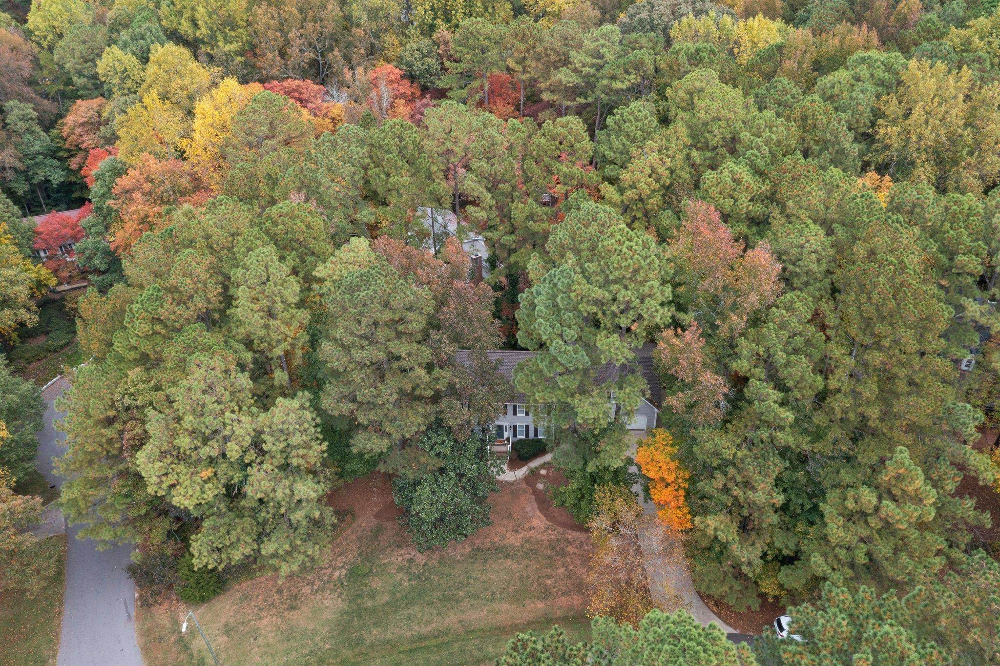 8709 Langtree Lane Raleigh, NC 27613 - Photo 46 of 49 Photo 46