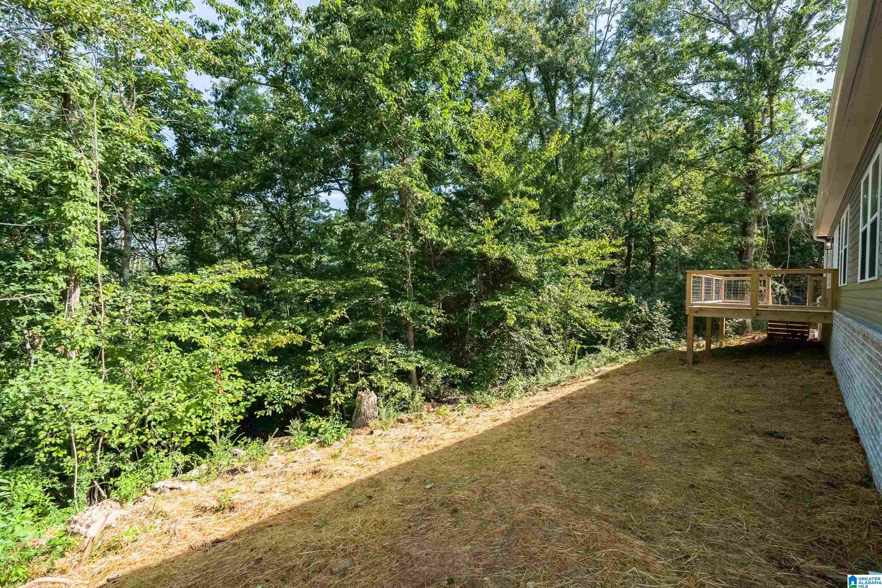 6532 Mountain Ridge Road Trussville, AL 35173 - Photo 33 of 35