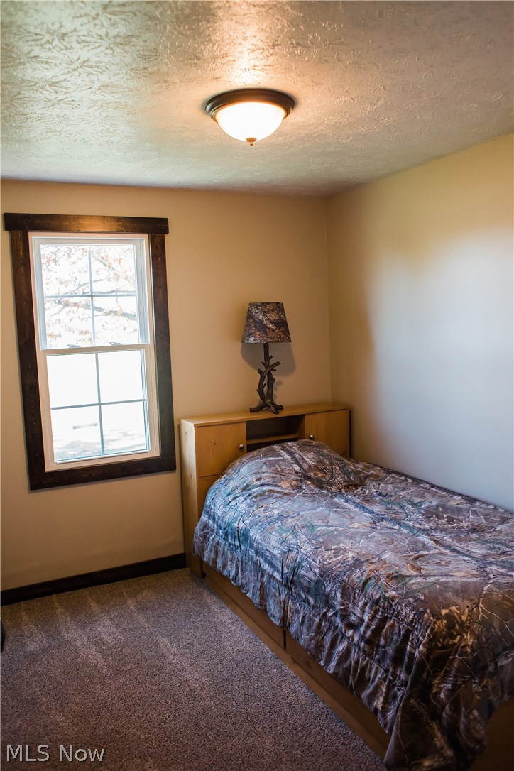 12370 Old State Road Chardon, OH 44024 - Photo 23 of 35