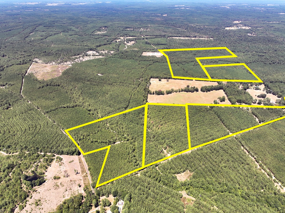 15 Joskey Dykes Road Zavalla, TX 75980 - Photo 2 of 13 a view of swimming pool