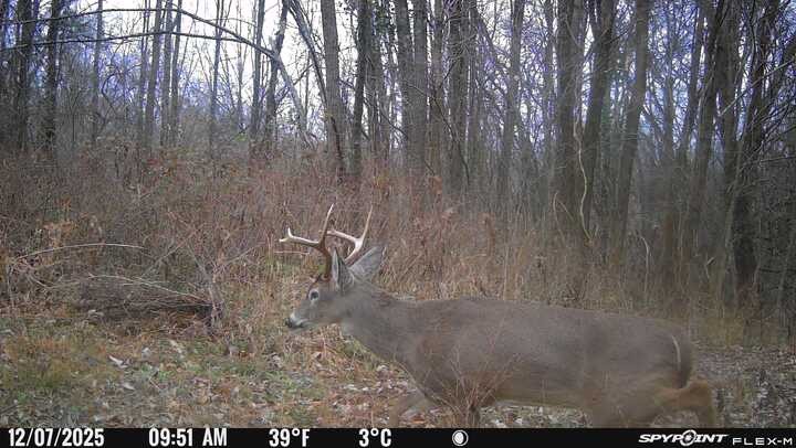 0 Red Tuttle Road Bethpage, TN 37022 - Photo 3 of 3 a bathroom with a shower