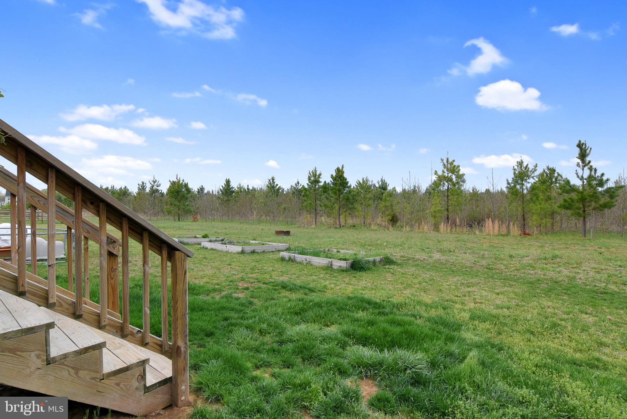 5329 Longbow Road King George, VA 22485 - Photo 15 of 43 Back Deck Stairs & Backyard View