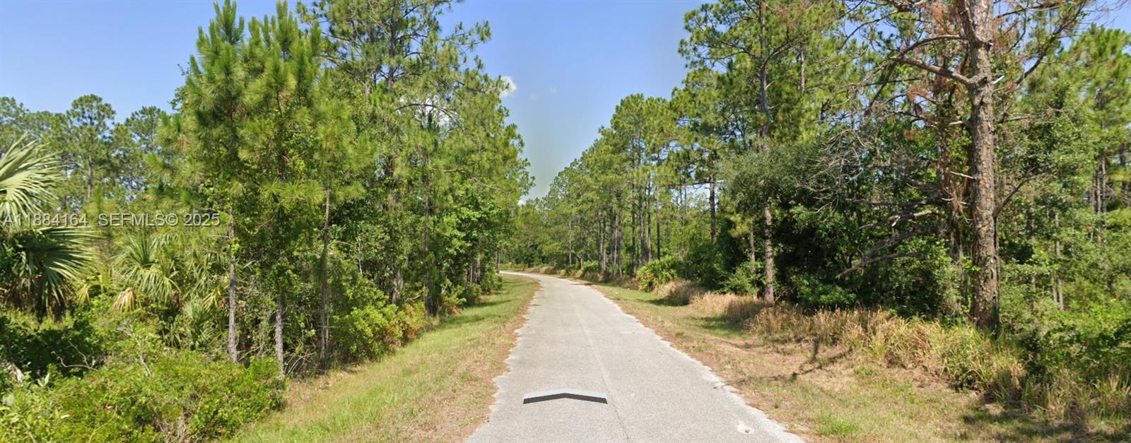 8649 Primavera Street Sebring, FL 33872 - Photo 8 of 20 a view of a pathway both side of yard