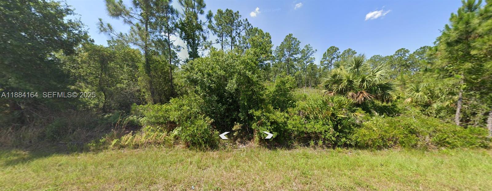 8649 Primavera Street Sebring, FL 33872 - Photo 9 of 20 a view of a garden
