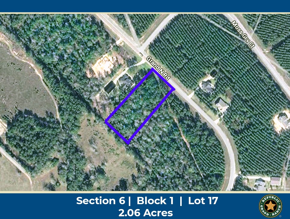 11694 Grand N Road Willis, TX 77378 - Photo 1 of 19