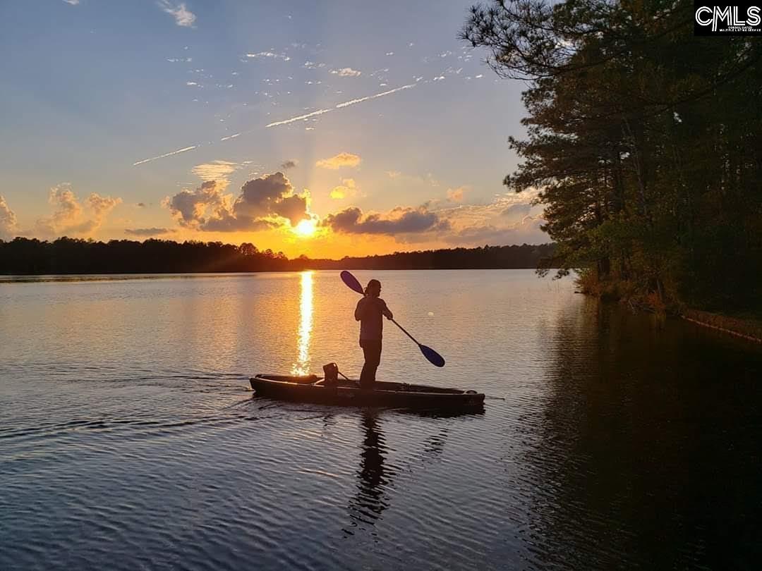 0 Edisto Lake Road Wagener, SC 29164 - Photo 5 of 6