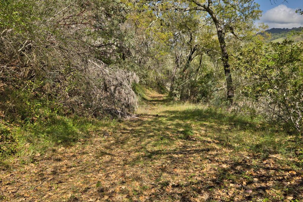 15805 Uvas Road Morgan Hill, CA 95037 - Photo 21 of 41 a view of a yard