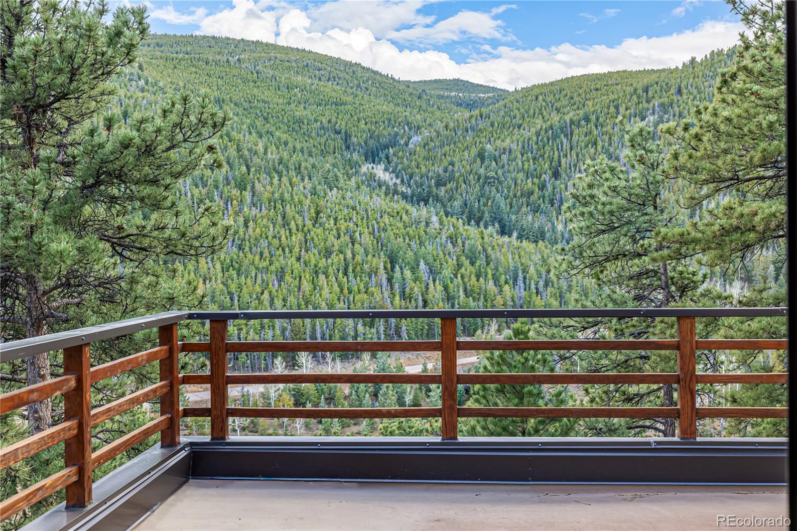 34357 State Highway Evergreen, CO 80439 - Photo 39 of 49
