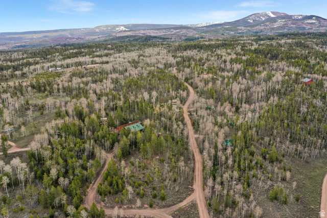 4725 Pine Ridge Road Evanston, UT 82930 - Photo 69 of 82 Expansive treed landscape featuring mixed deciduous and coniferous trees, a visible dirt road system, and distant snow-capped mountains