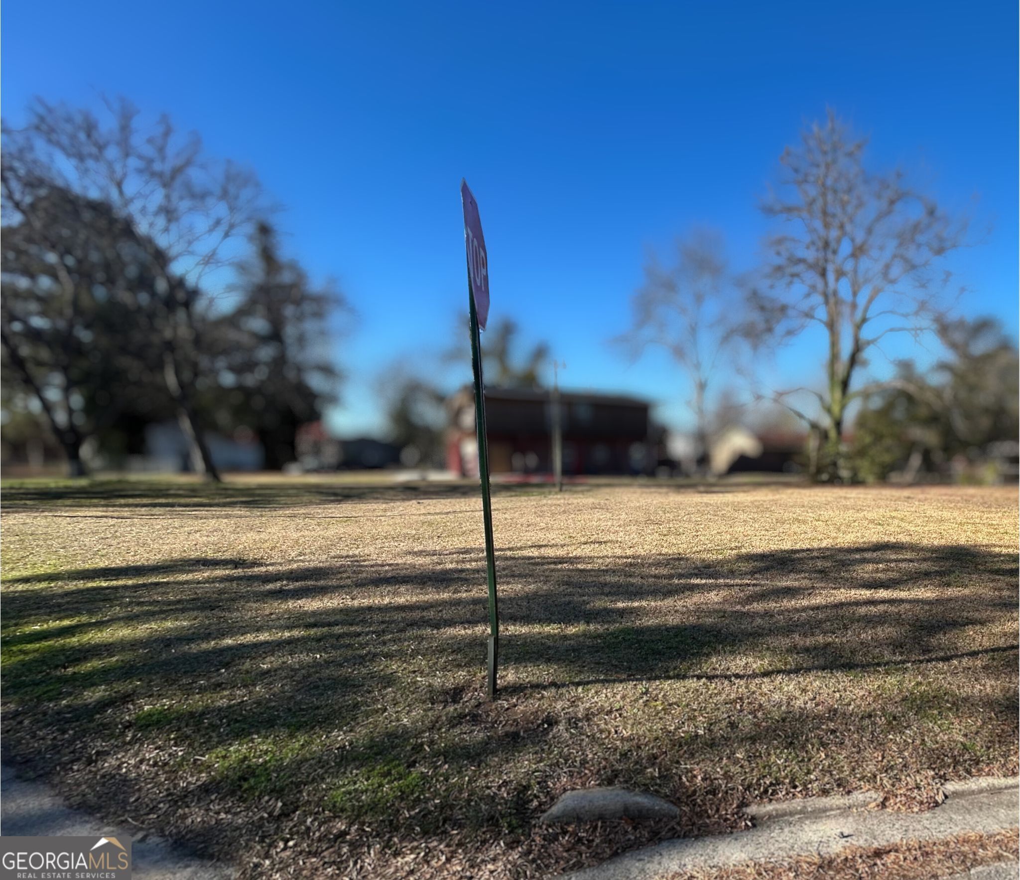 912 Maple Street Fort Valley, GA 31030 - Photo 2 of 4 a view of a yard with large trees