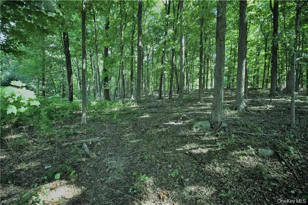 a view of outdoor space and trees
