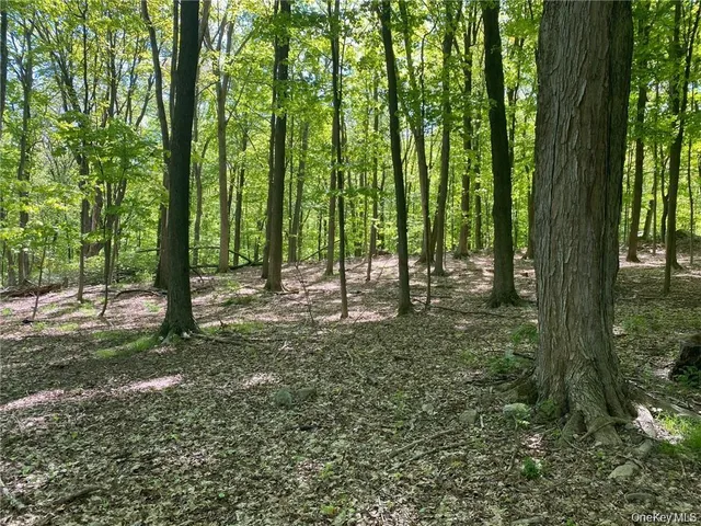 $159,000 | 58-62 Walmer Lane, Cold Spring, NY 10516