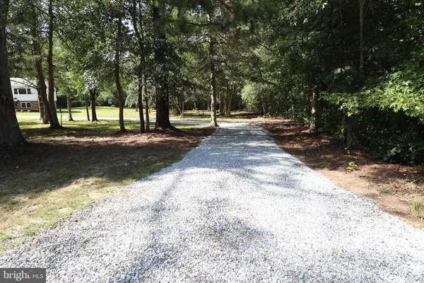 a view of a trees with a yard